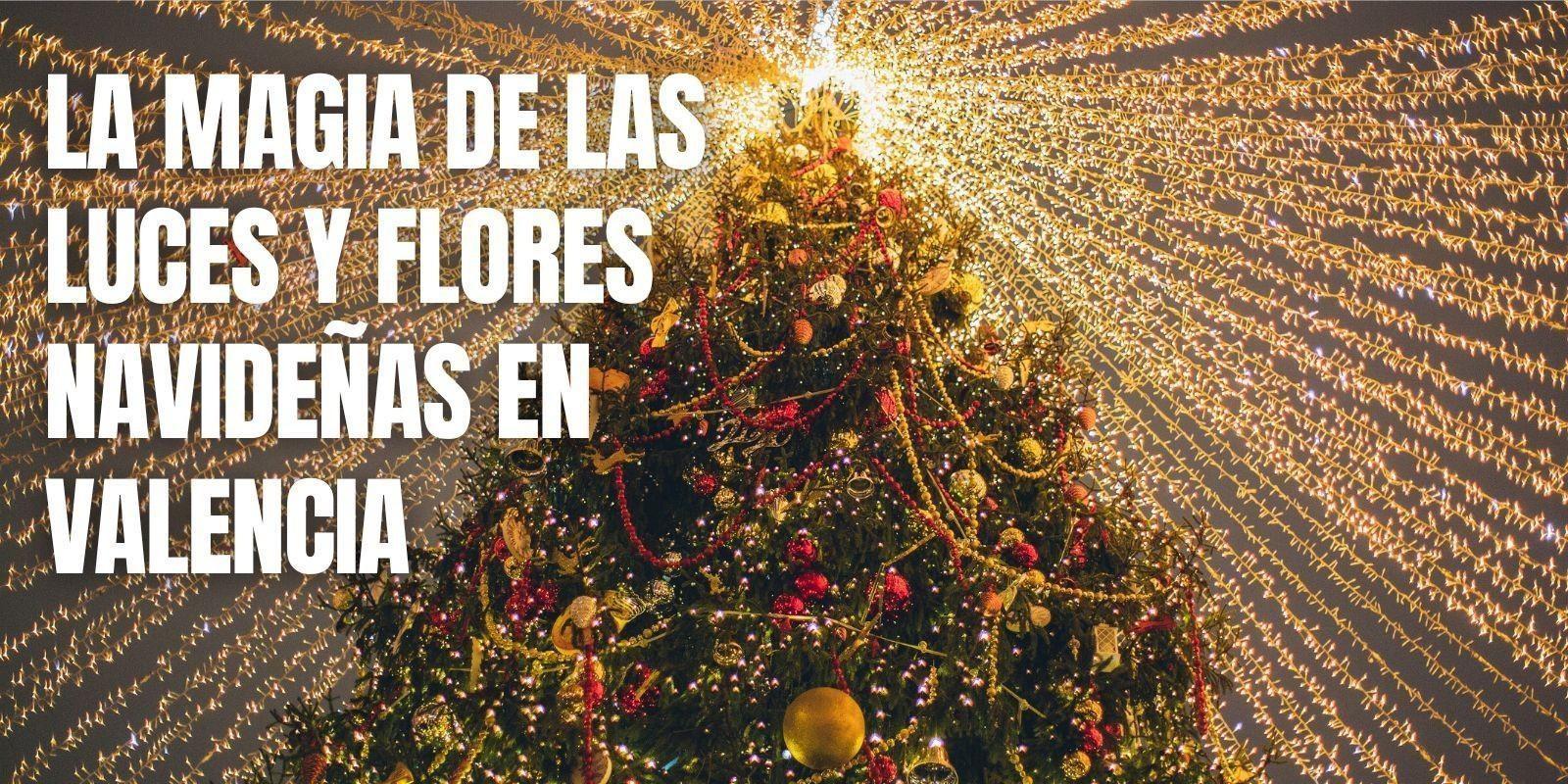 La magia de las luces y flores navideñas en Valencia