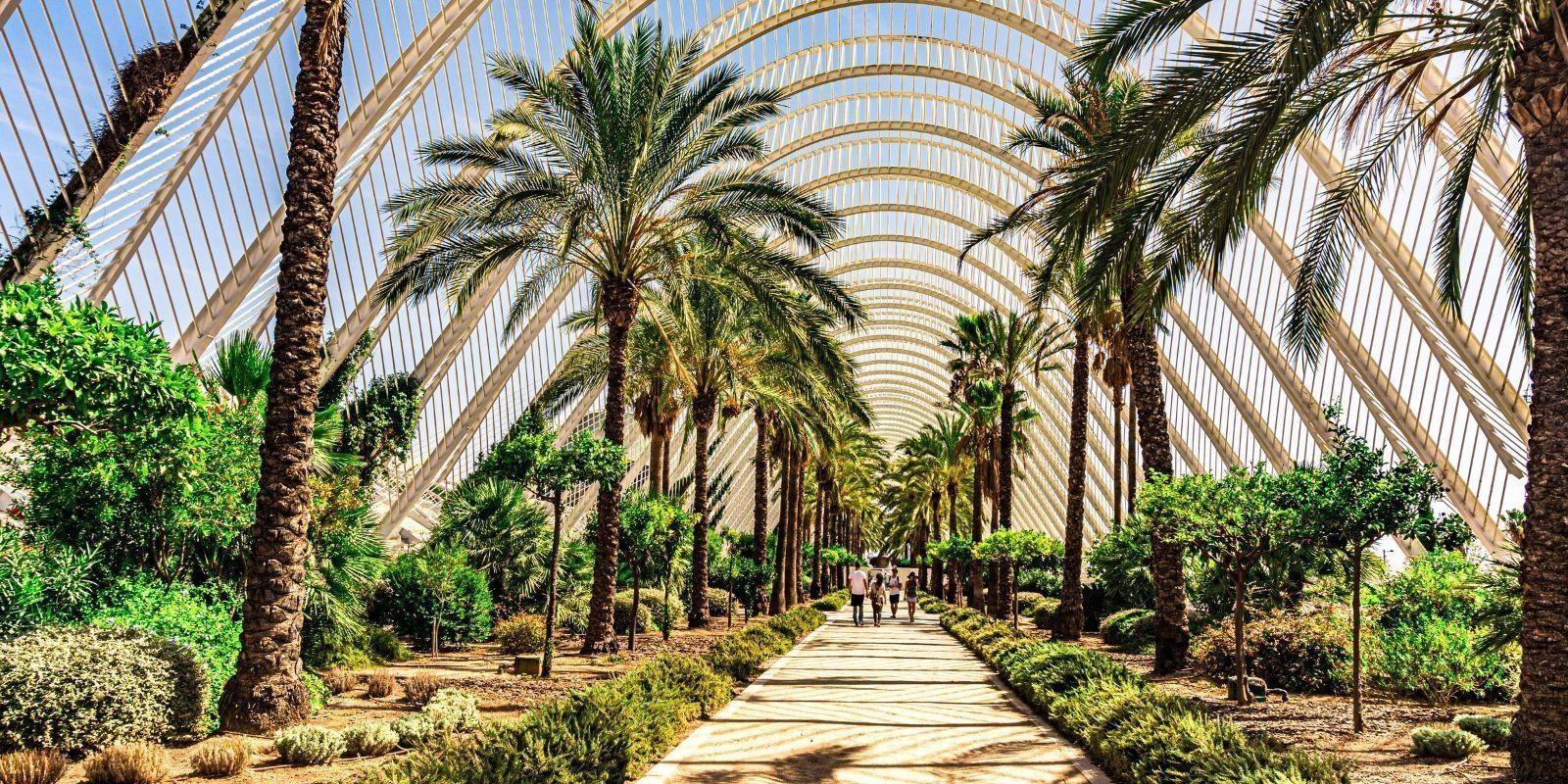 España Triunfa por segunda vez: Valencia, Málaga y Alicante, las mejores ciudades del mundo para vivir según La Revista Forbes