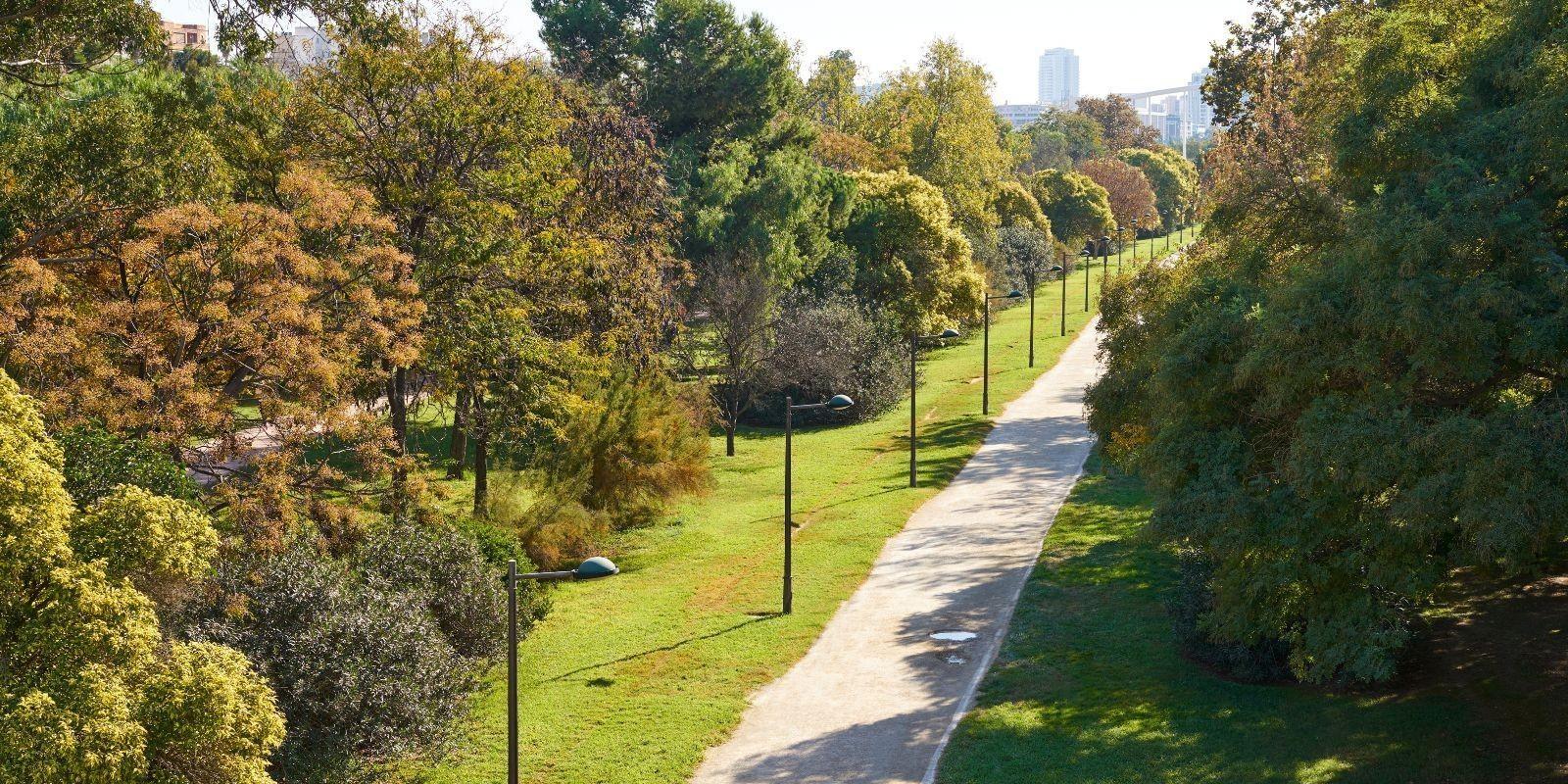 Jardines del Río Turia: Un Oasis perfecto para vivir en Valencia