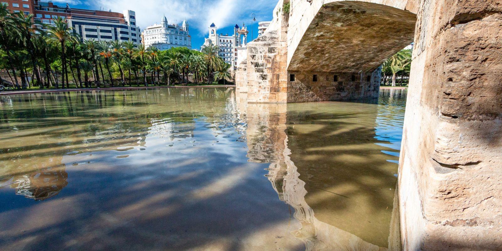 Biodiversidad y Naturaleza en los Jardines del Turia de Valencia