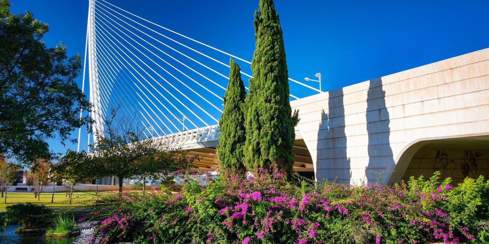 Actividades Imperdibles en los Jardines del Turia de Valencia, la mejor ciudad para vivir