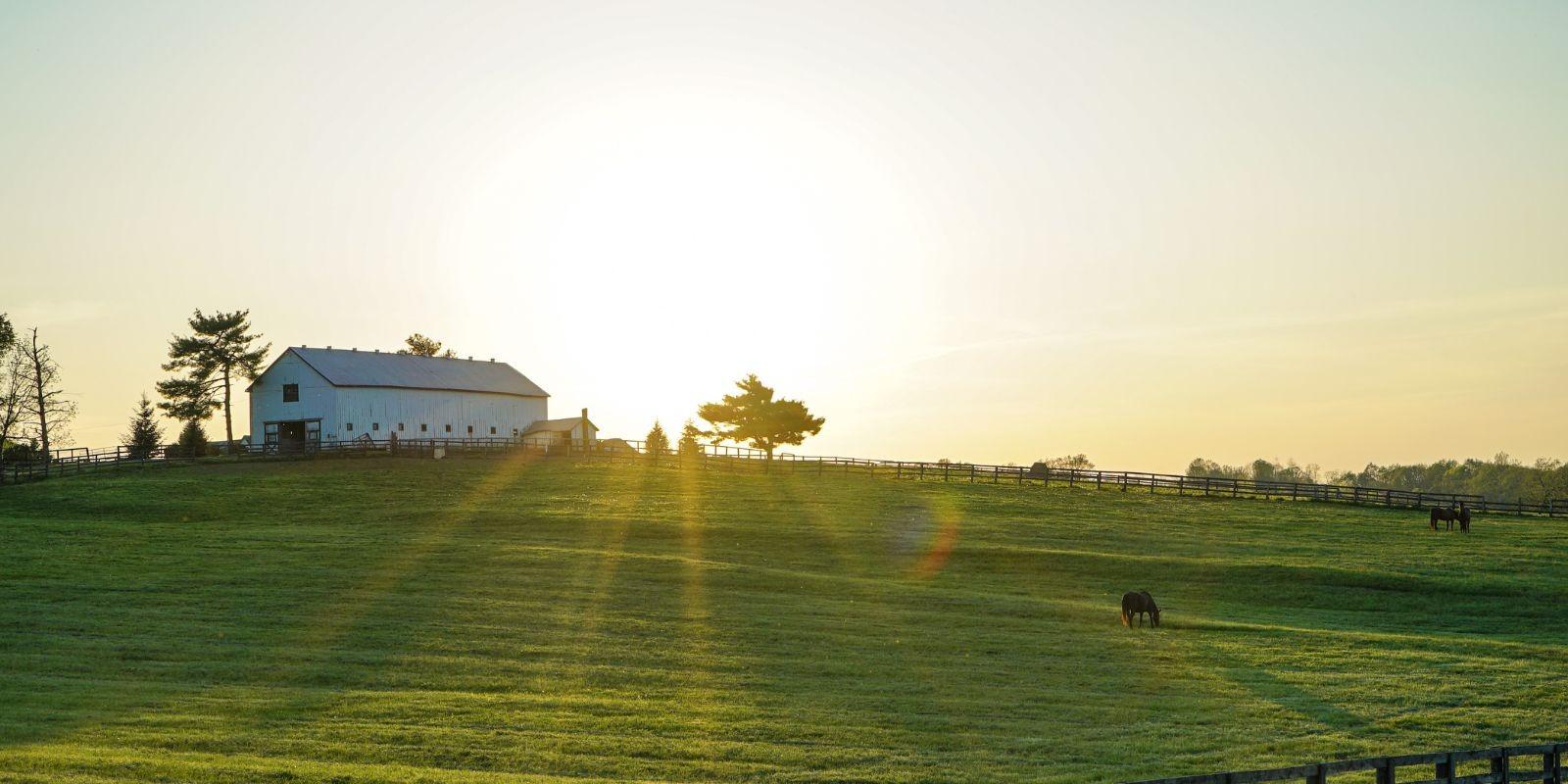 ¿Cuál es la diferencia entre terreno rústico y urbano en Valencia?